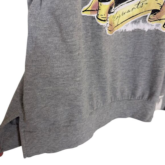 Wizarding World Harry Potter Gryffindor Juniors Sweatshirt Gray XXL bv - Picture 4 of 7